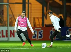 AYX- 莱万什么水平 